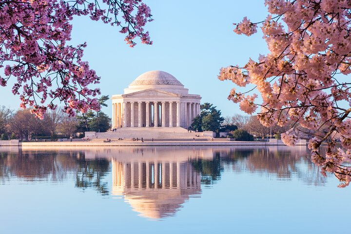 View the famous Japanese Cherry Blossom Trees along the Tidal Basin